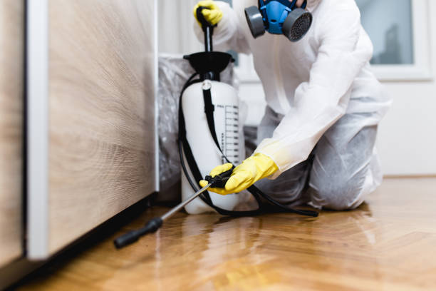 Best Affordable Pest Control Services  in Seat Pleasant, MD