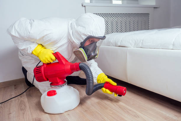 Wasp Removal Services in Seat Pleasant, MD