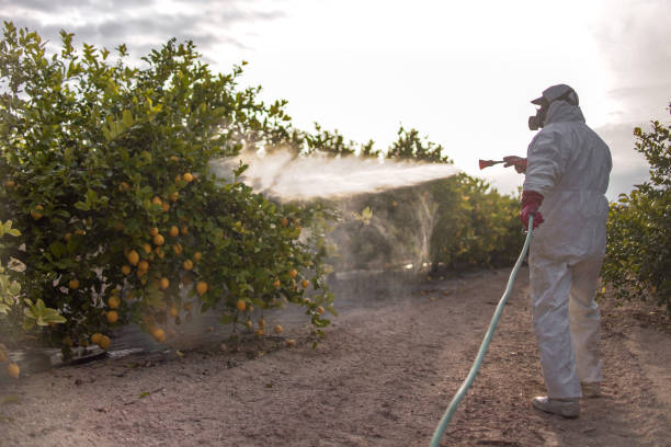 Best Best Pest Control Companies  in Seat Pleasant, MD