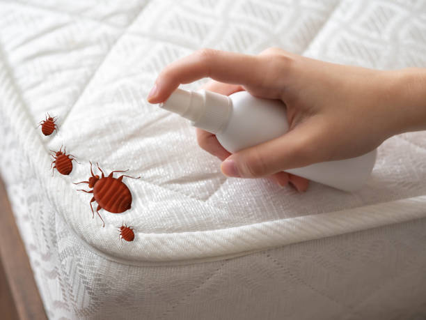 Trusted Seat Pleasant, MD Pest Control Experts